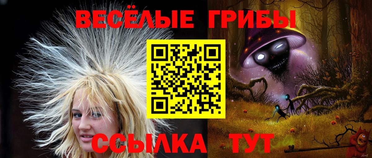 Галлюциногенные грибы мухоморы Каменск-Уральский
